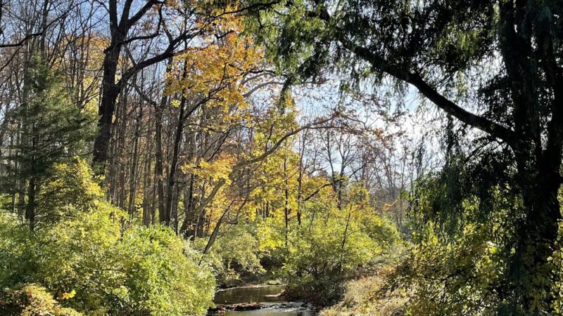 Wyomissing Park System Picnic Area - Wyomissing, PA