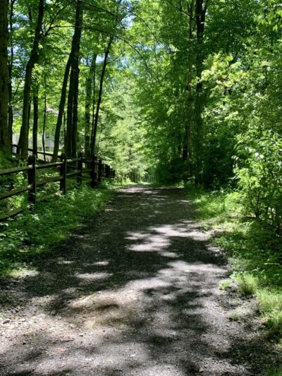 Wyomissing Park System Picnic Area - Wyomissing, PA