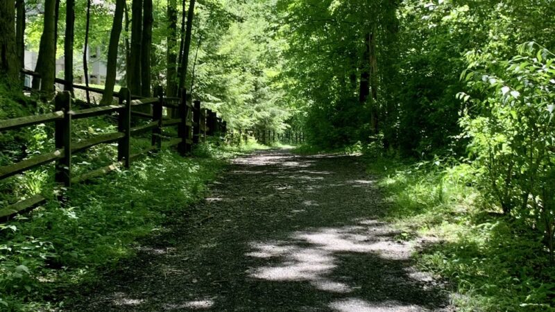Wyomissing Park System Picnic Area - Wyomissing, PA