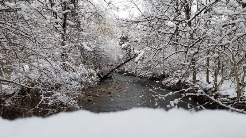 Wyomissing Park System Picnic Area - Wyomissing, PA