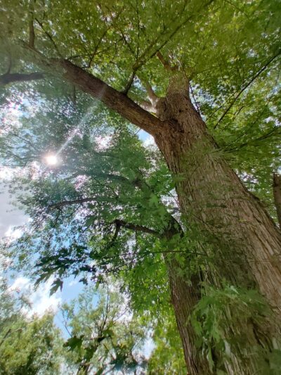 Wysox Community Park - Wysox, PA