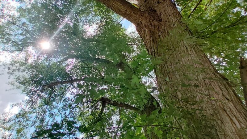 Wysox Community Park - Wysox, PA