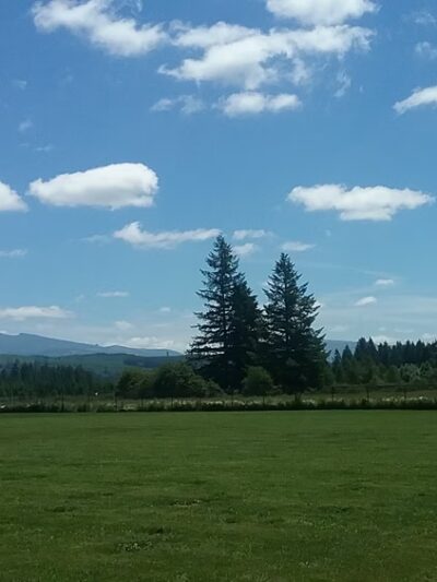 Yacolt Recreational Park - Yacolt, WA