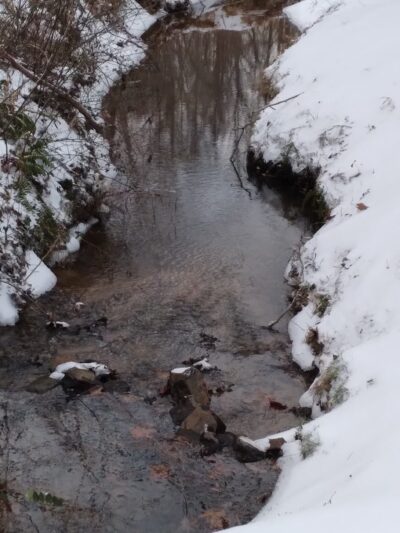 Yadkinville community park - Yadkinville, NC