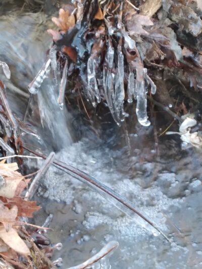 Yadkinville community park - Yadkinville, NC