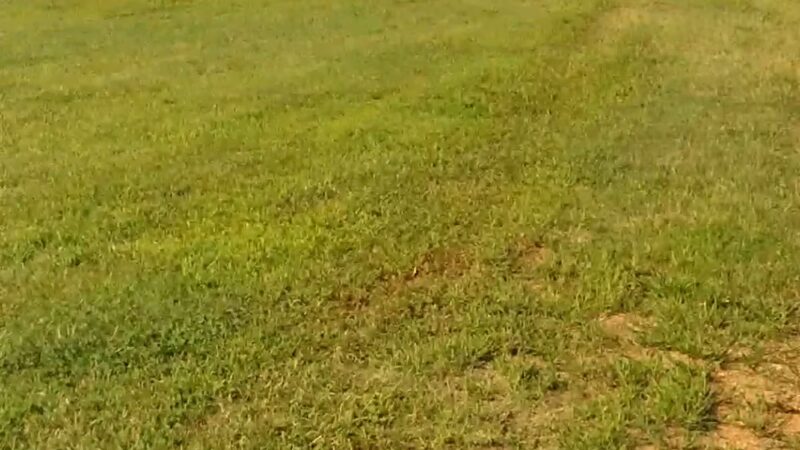 Yadkin County park - Yadkinville, NC