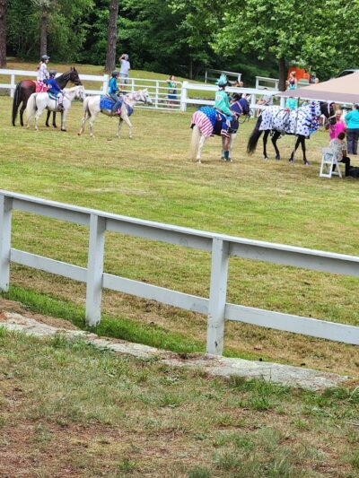 Animal Protection Society of Caswell County - Yanceyville, NC