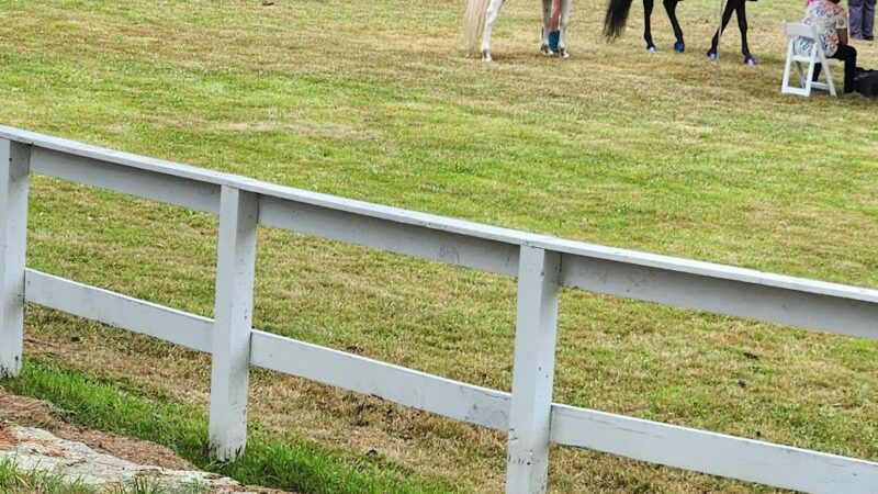 Animal Protection Society of Caswell County - Yanceyville, NC