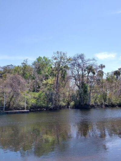 Winding River Garden - Yankeetown, FL