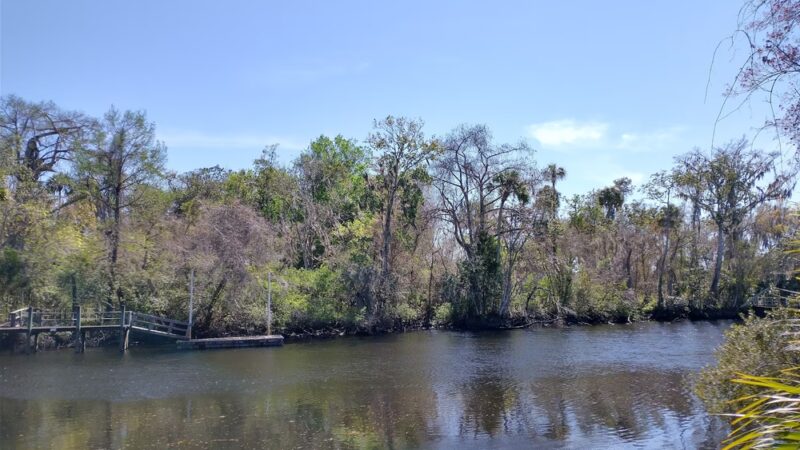 Winding River Garden - Yankeetown, FL
