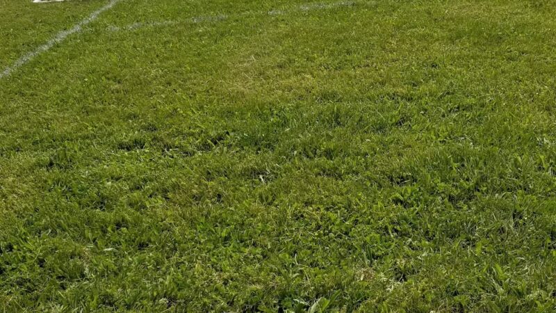 Mastic Sports Complex - Yaphank, NY