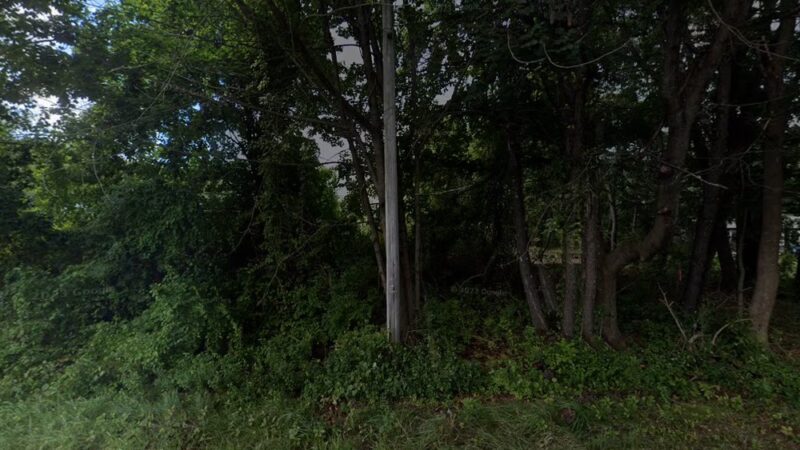 Frank Knight Forest - Yarmouth, ME