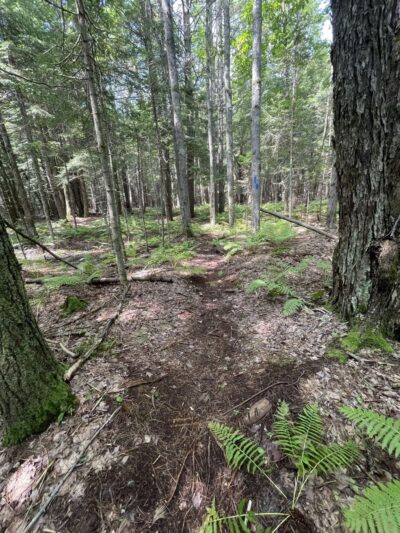 Riverfront Woods Preserve - Yarmouth, ME