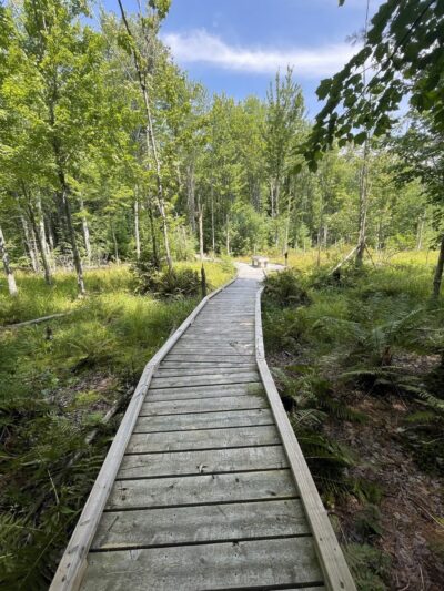 Riverfront Woods Preserve - Yarmouth, ME