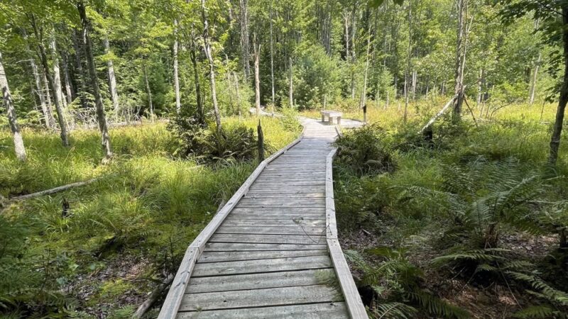 Riverfront Woods Preserve - Yarmouth, ME