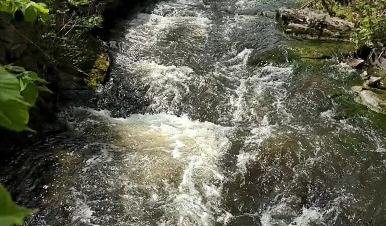 Royal River Park - Yarmouth, ME