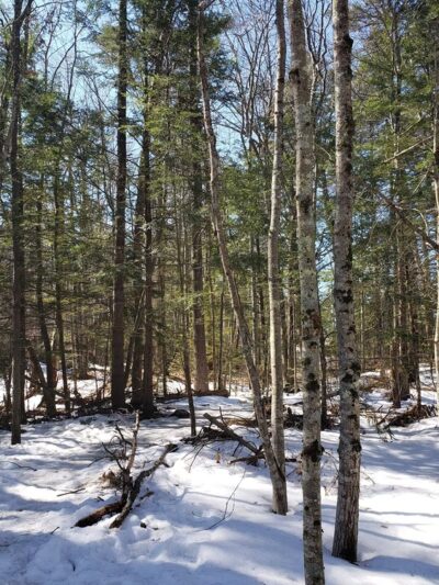West Side Trail trailhead - Yarmouth, ME