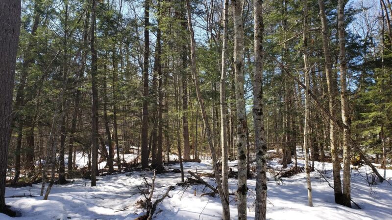 West Side Trail trailhead - Yarmouth, ME