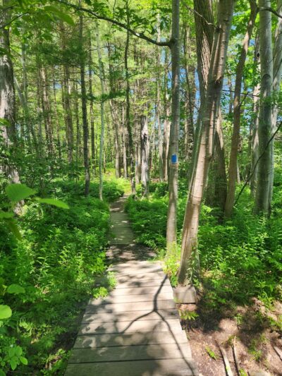 West Side Trail trailhead - Yarmouth, ME