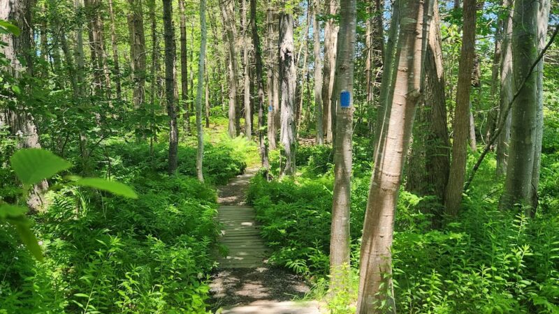 West Side Trail trailhead - Yarmouth, ME