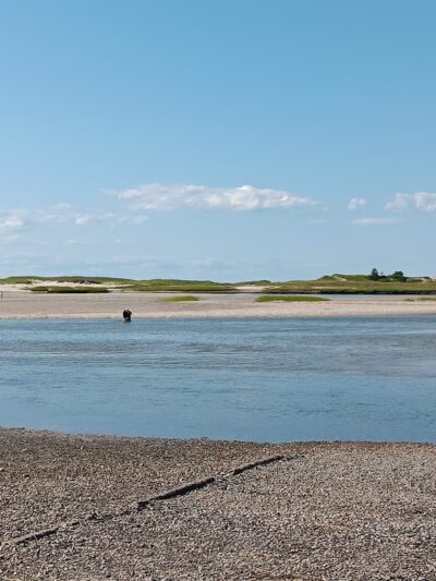 Grays Beach - Yarmouth Port, MA