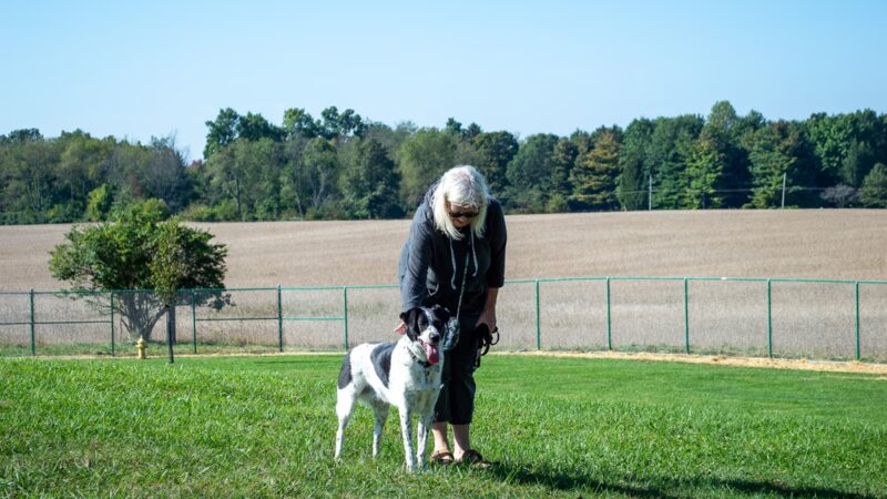 Yellow Springs Dog Park - Yellow Springs, OH