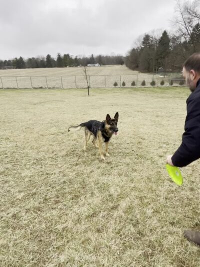 Yellow Springs Dog Park - Yellow Springs, OH