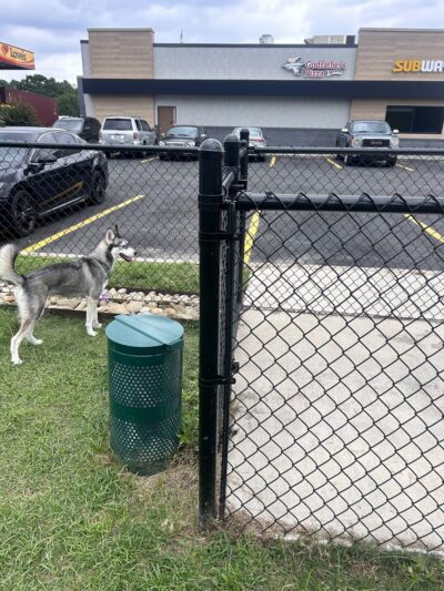 Dog Park at Love's Travel Stops - Yemassee, SC