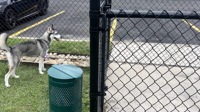 Dog Park at Love's Travel Stops - Yemassee, SC