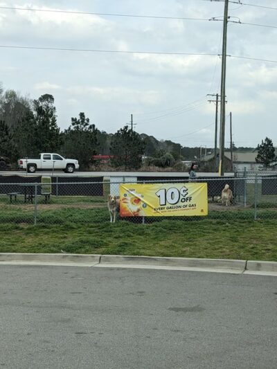 Dog Park at Love's Travel Stops - Yemassee, SC