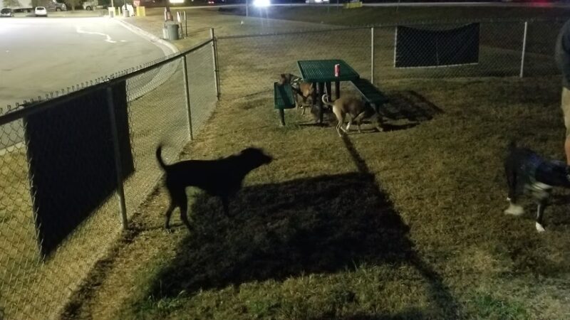 Dog Park at Love's Travel Stops - Yemassee, SC