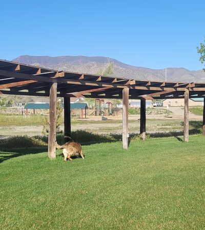 Mason Town Park - Yerington, NV