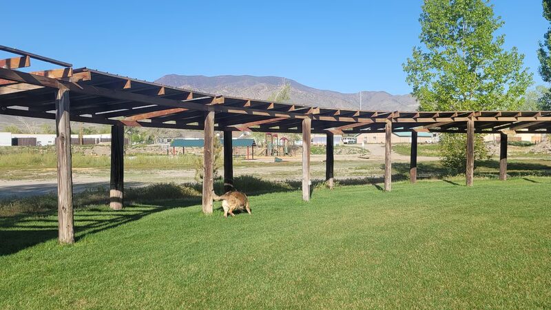 Mason Town Park - Yerington, NV