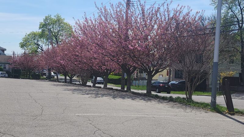 Bregano Park - Yonkers, NY