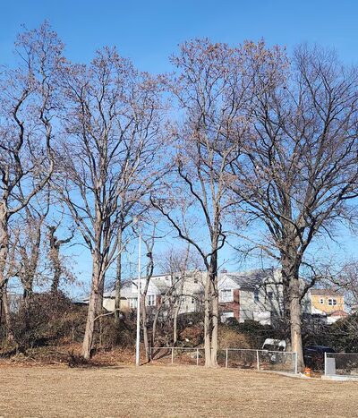 Bregano Park - Yonkers, NY