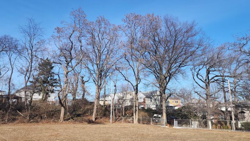 Bregano Park - Yonkers, NY