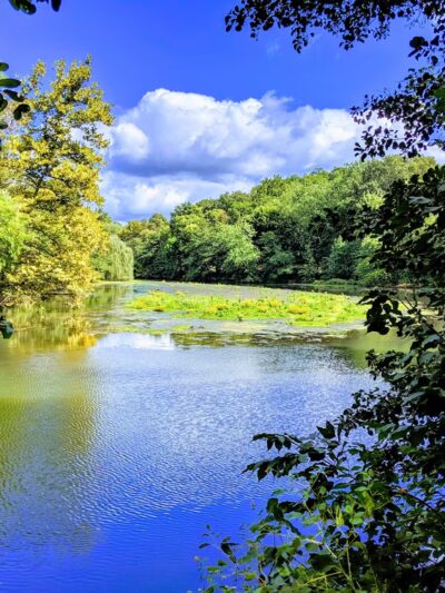 Bronx River Pathway - Yonkers, NY
