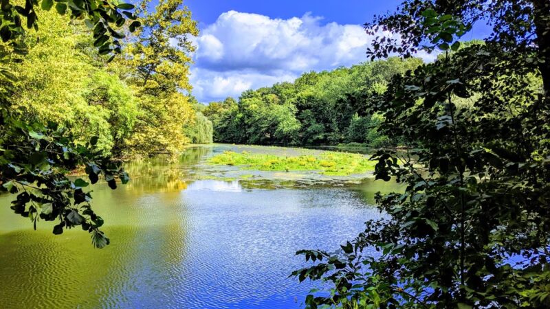 Bronx River Pathway - Yonkers, NY