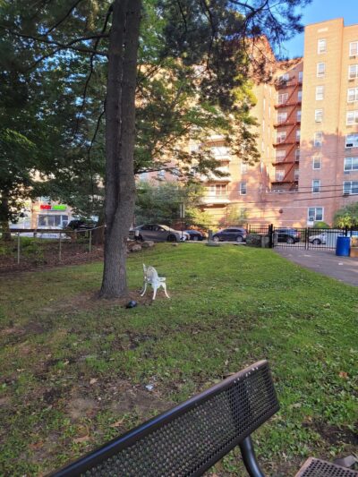 Wakefield Park - Yonkers, NY