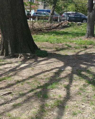 Wakefield Park - Yonkers, NY