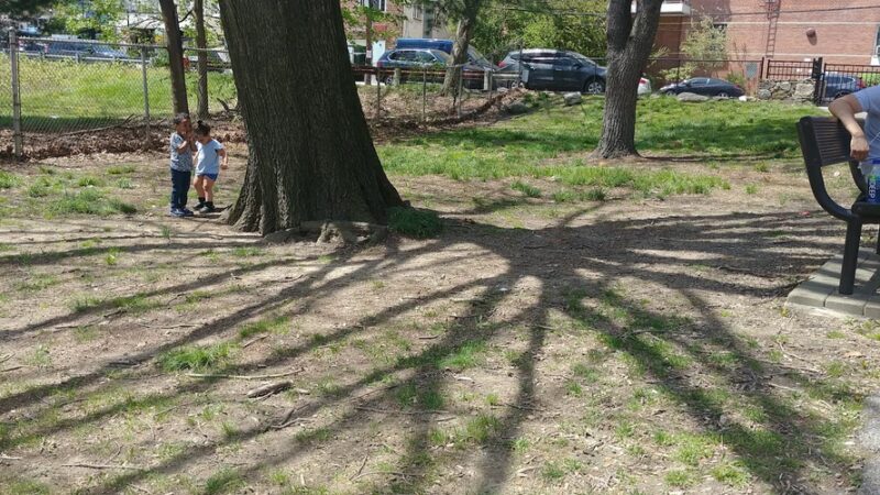 Wakefield Park - Yonkers, NY