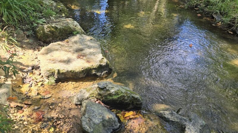 Mill Creek Preserve - York, PA