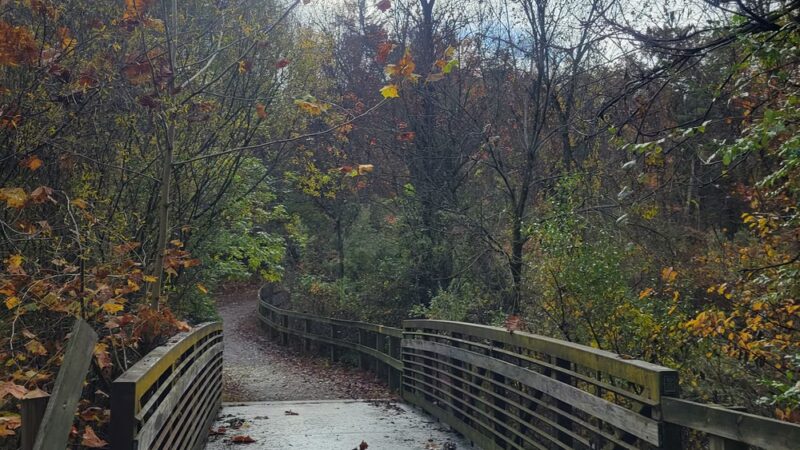 Hollow creek trail parking - York, PA