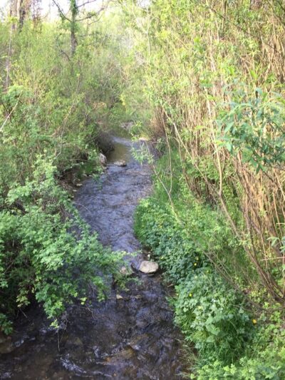 Hollow creek trail parking - York, PA