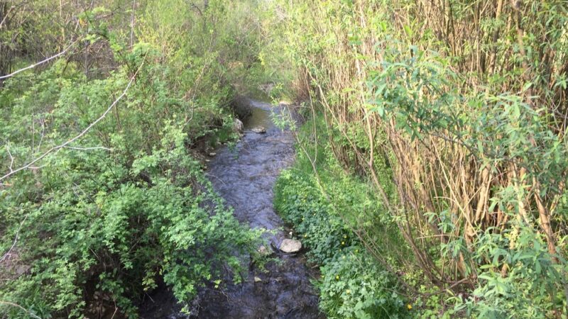 Hollow creek trail parking - York, PA