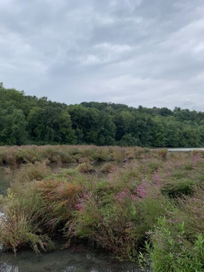 Lake Redman Board Walk - York, PA