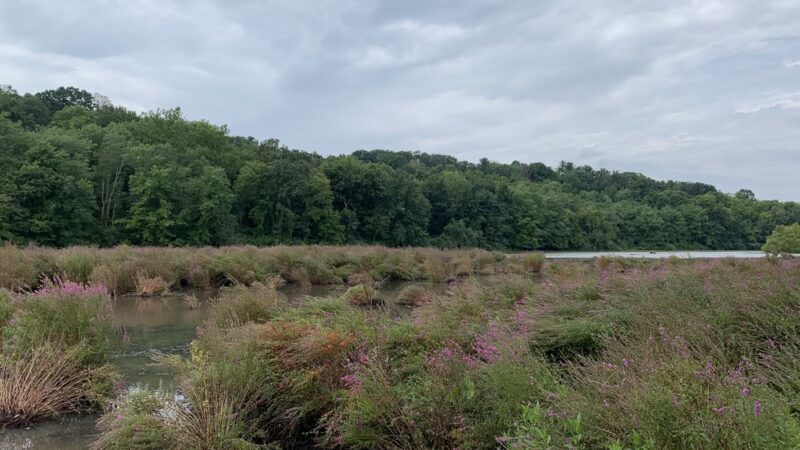 Lake Redman Board Walk - York, PA
