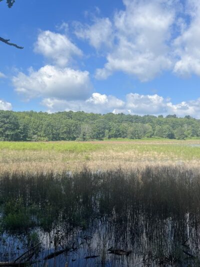 Lake Redman Board Walk - York, PA