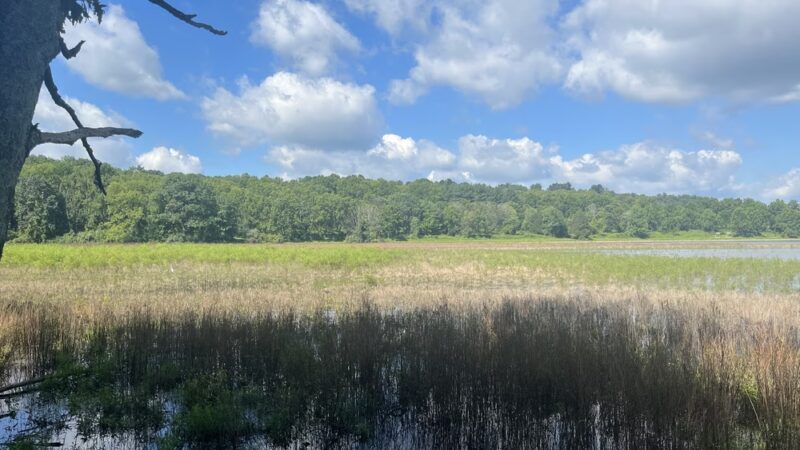 Lake Redman Board Walk - York, PA