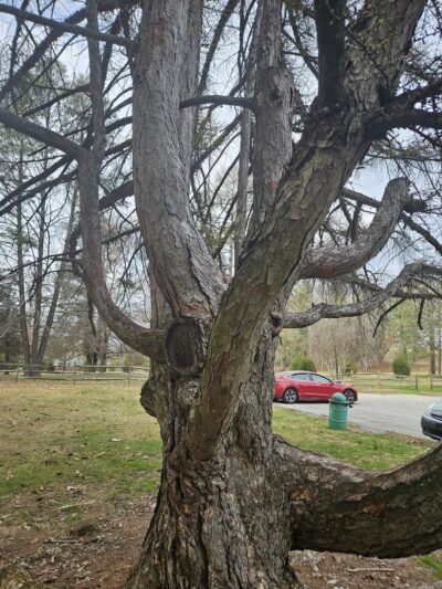 Reservoir Park - York, PA